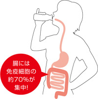 腸には免疫細胞の70％が集中