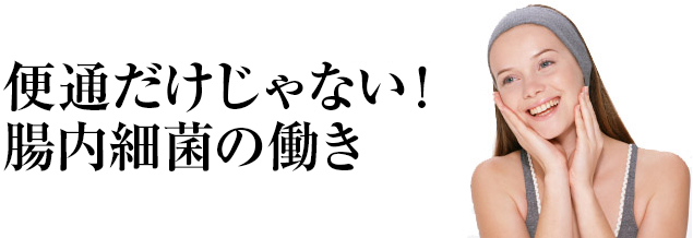 便通だけじゃない！腸内細菌の働き